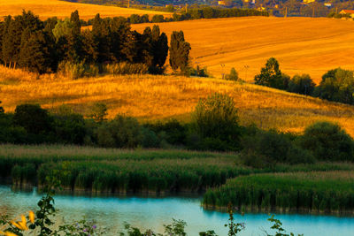 Scenic view of river by trees against sky