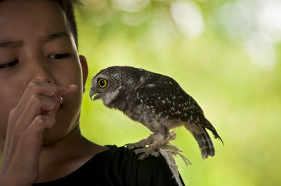 Close-up of boy with bird on shoulder