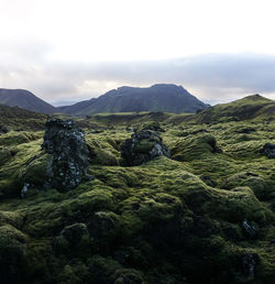 Scenic view of landscape against sky