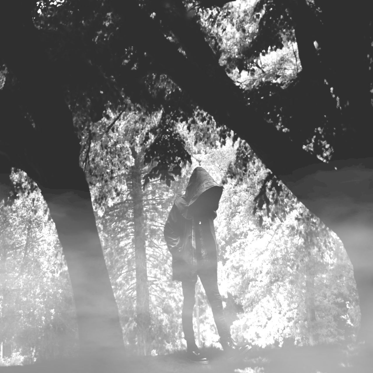 REAR VIEW OF PERSON STANDING ON ROCK AGAINST TREES