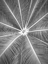 Full frame shot of pattern