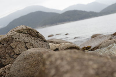 Close-up of rocks on shore