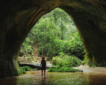 Rear view of woman walking amidst trees in forest