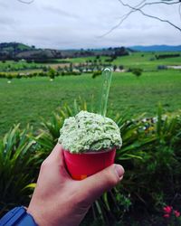 Cropped hand holding ice cream against green landscape