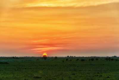 Scenic view of field against orange sky