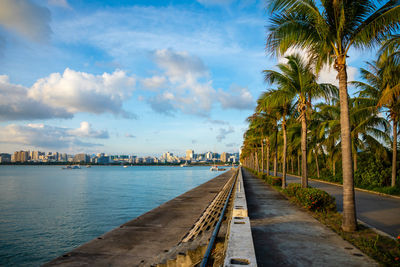 Scenic view of palm trees by sea against sky