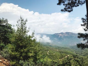 Scenic view of landscape against sky