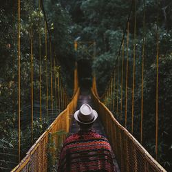 Rear view of person standing on footbridge in forest