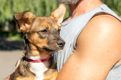 Midsection of woman with dog