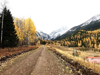 Road amidst trees against sky during autumn