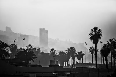 Panoramic view of palm trees and buildings against sky