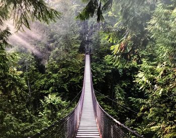 Footbridge in forest