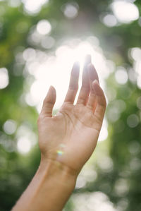 Close-up of human hand against trees