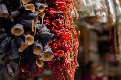 Close-up of ice cream hanging outdoors