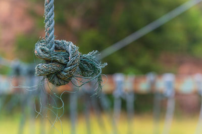 Close-up of rope tied to metal fence