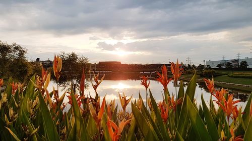 Scenic view of lake against sky during sunset