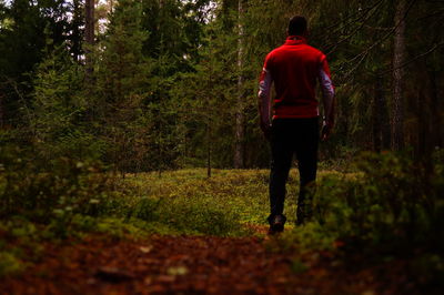 Rear view of man walking in forest