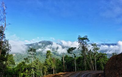 Scenic view of trees and mountains against blue sky