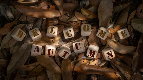 High angle view of text on wood