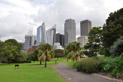 Trees and buildings in city against sky