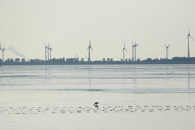 environmental conservation