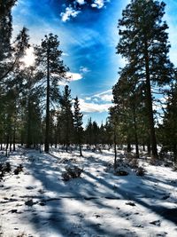 Scenic view of snow covered landscape