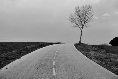 Empty country road along trees