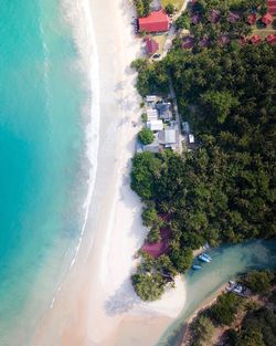 High angle view of beach by trees