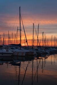 Sailboats moored in marina at sunset