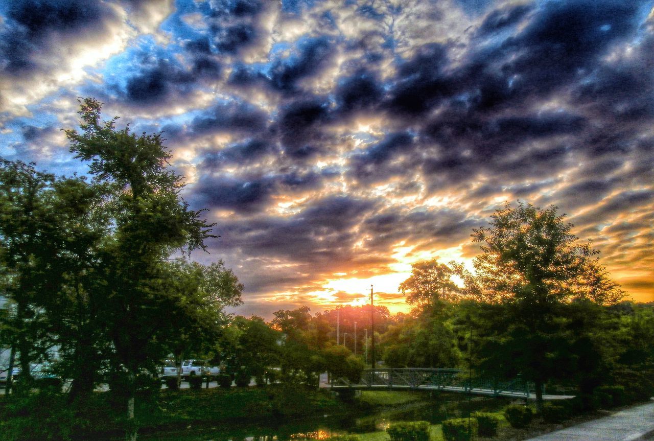 sky, sunset, cloud - sky, tree, cloudy, scenics, beauty in nature, tranquil scene, tranquility, nature, dramatic sky, cloud, idyllic, sun, orange color, silhouette, weather, growth, sunlight, overcast