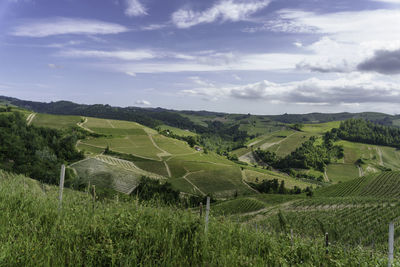 Scenic view of agricultural field against sky