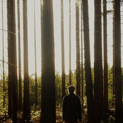 People standing in forest