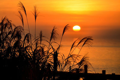 Scenic view of sunset over sea