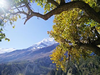 Low angle view of snowcapped mountains against sky