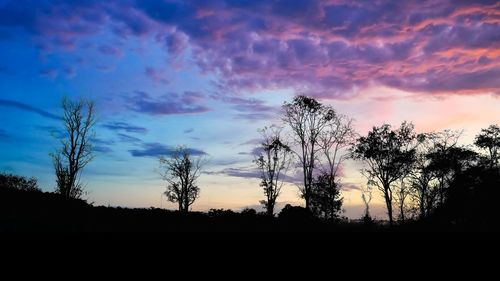 Silhouette trees on field against sky during sunset