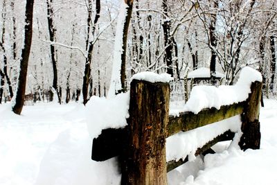 Scenic view of snow covered landscape