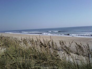 Scenic view of beach against clear sky