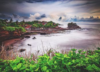 Scenic view of plants against cloudy sky