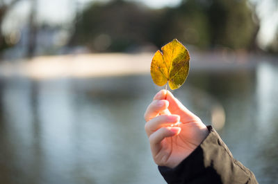 Close-up of hand holding leaf during autumn