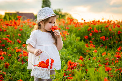 Girl smelling flower while collecting in basket by plants