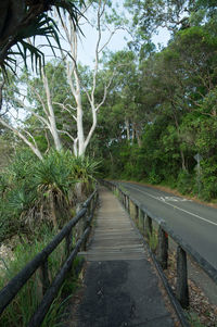 Footpath amidst trees