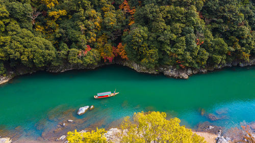 High angle view of boat on river against trees in forest