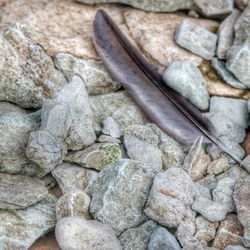 Close-up of pebbles