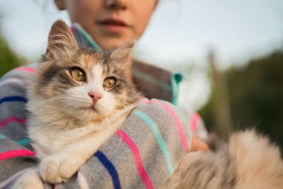 Close-up portrait of cat by person