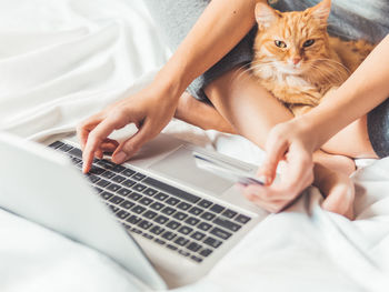 Cute ginger cat and woman with laptop. woman is making online order and paying with credit cards. 