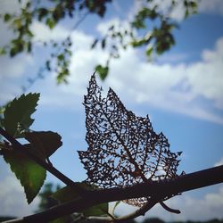 Low angle view of butterfly on tree against sky