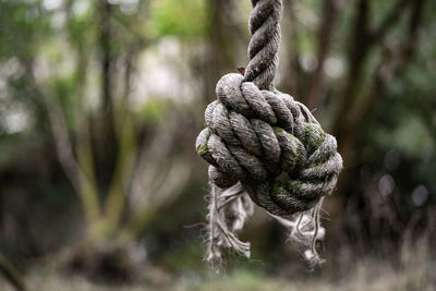 Close-up of rope tied up on land