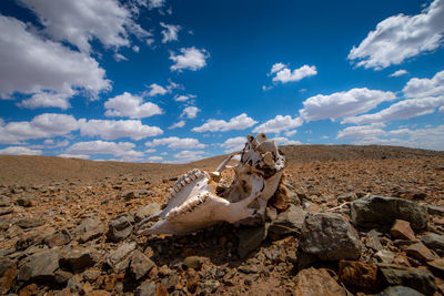 Panoramic view of rocks on field against sky