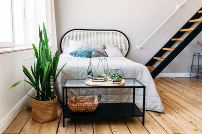 Potted plants on table at home