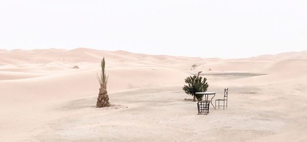 Scenic view of desert against sky